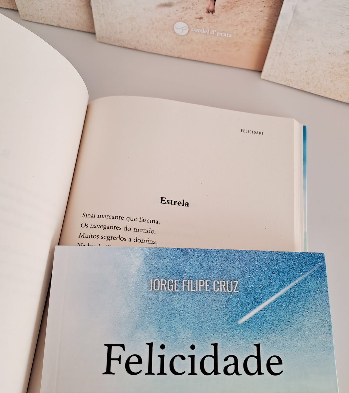 Felicidade (Jorge Filipe Cruz)