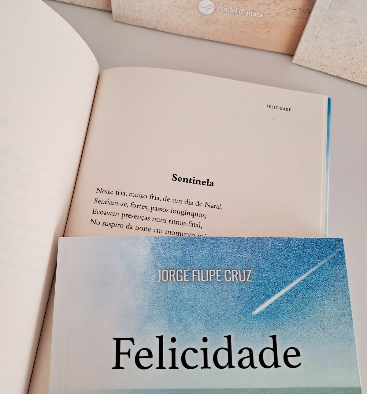 Felicidade (Jorge Filipe Cruz)