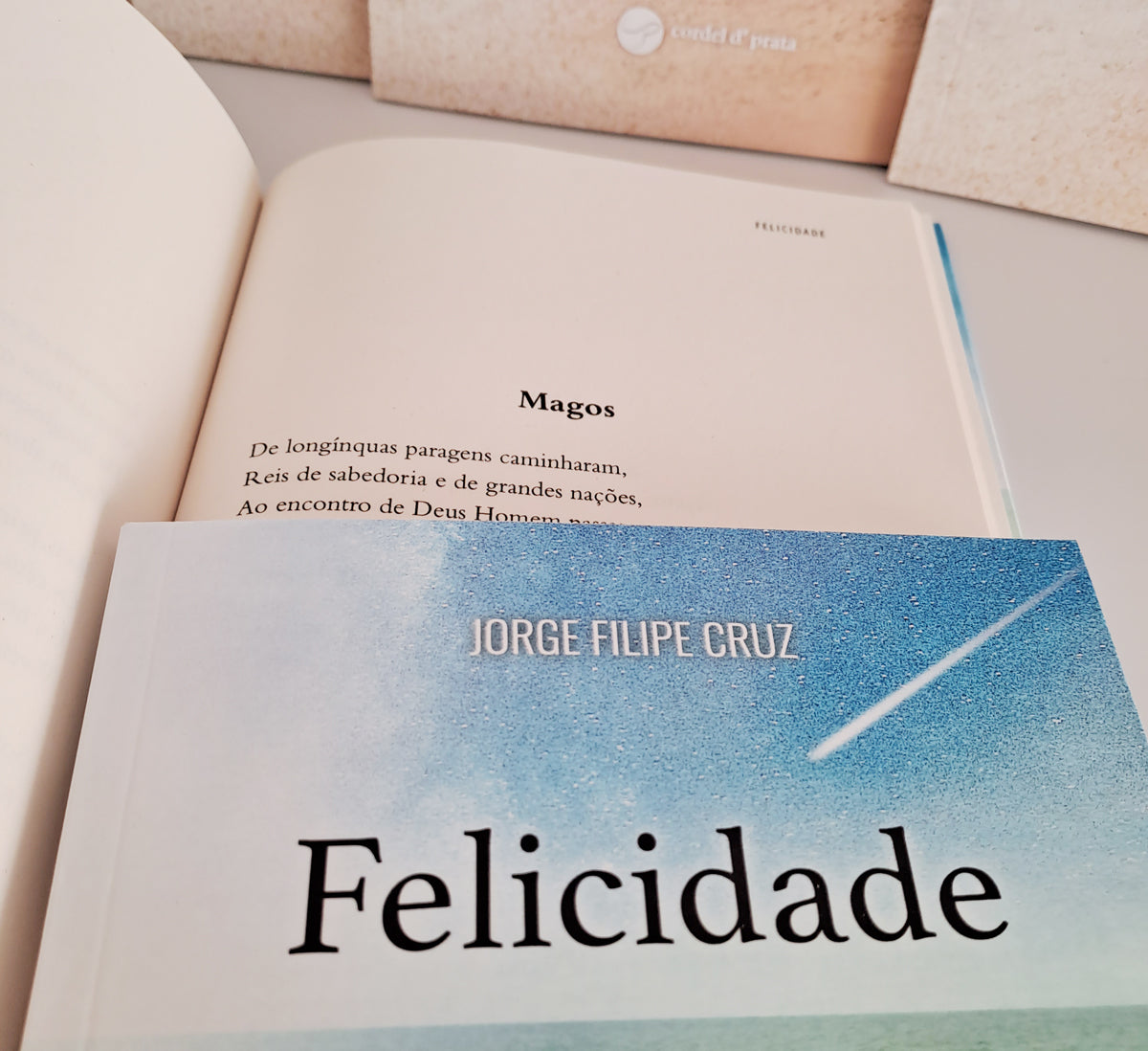 Felicidade (Jorge Filipe Cruz)