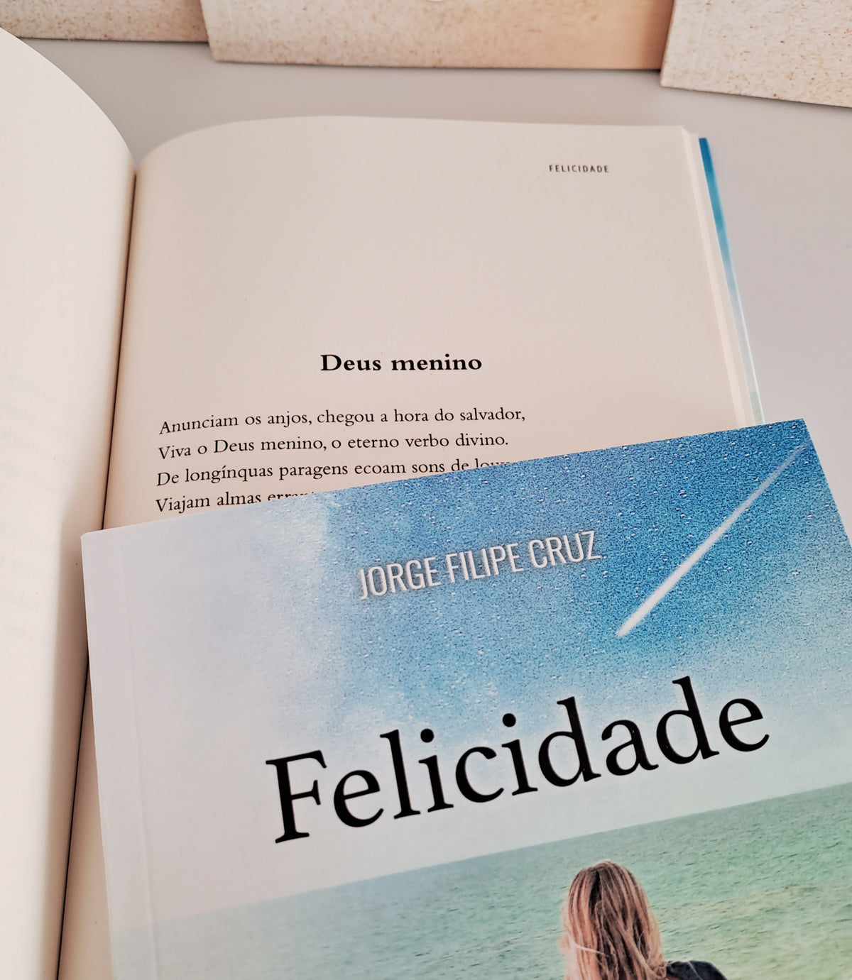 Felicidade (Jorge Filipe Cruz)