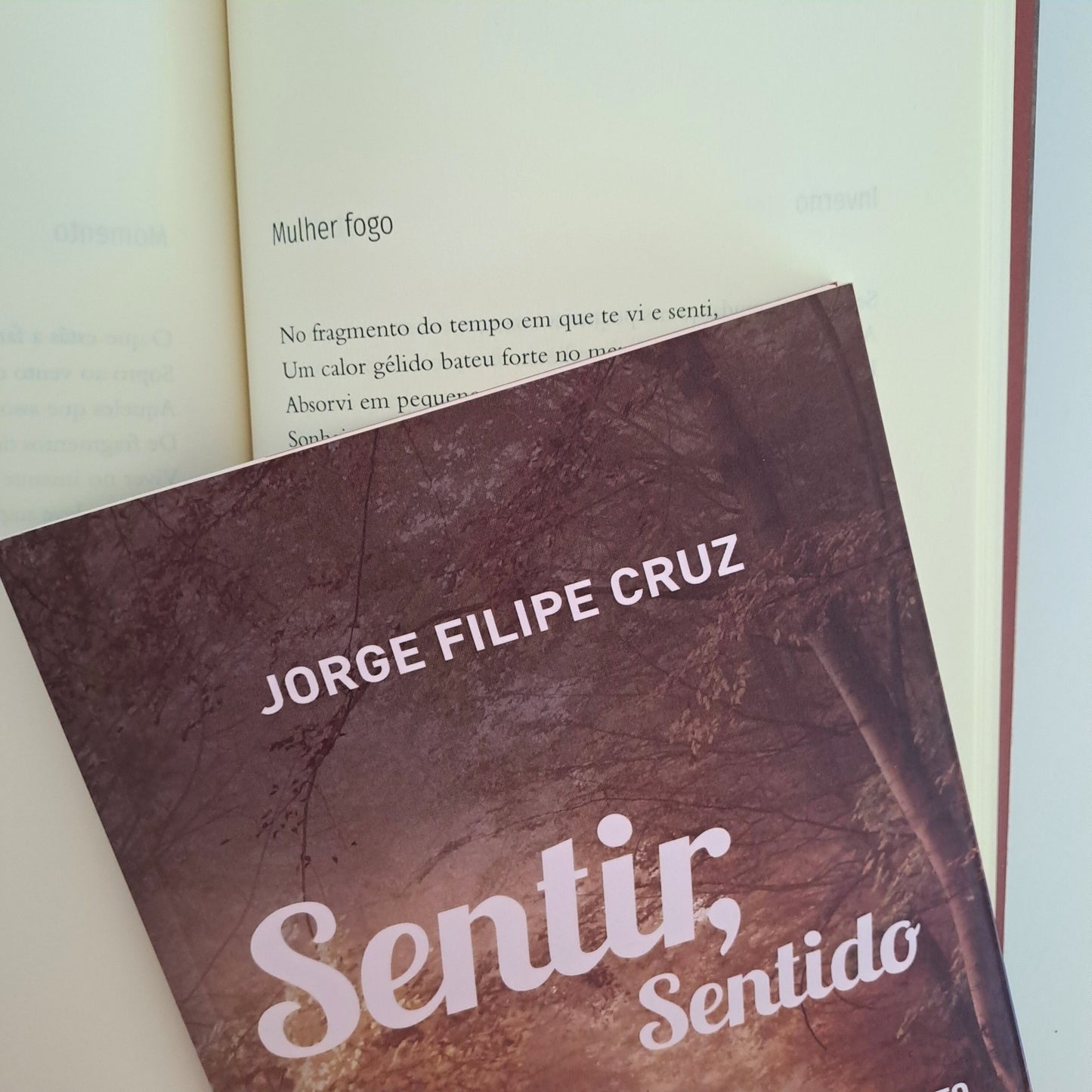 Sentir, Sentido (Jorge Filipe Cruz)