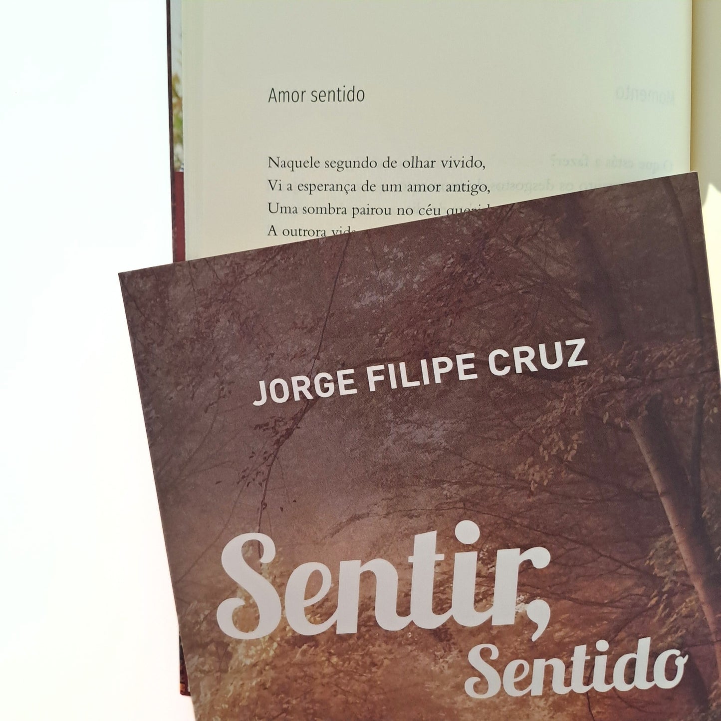 Sentir, Sentido (Jorge Filipe Cruz)